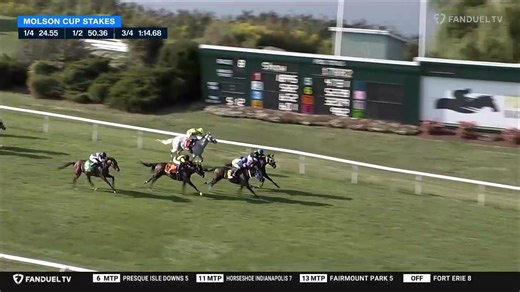 #8 THUNDERHEAVYRAIN ($30.70) kicks it into high gear late between horses to win the $30,000 Molson Cup Stakes at Fort Erie. The daughter of Get Stormy was ridden by Christopher Husbands, trained by Anthony Husbands, and is owned by Dwayne Newsam. | FanDuel Racing