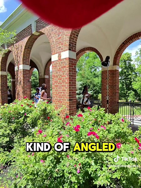 Effective Natural Lighting Tips for Portrait Photography