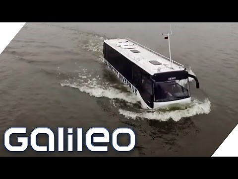 The Schwimmbus – Hamburg's first amphibious vehicle | Galileo Lunch Break