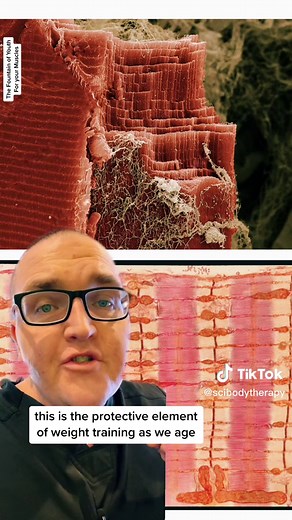 The Secret of Muscle Longevity Revealed