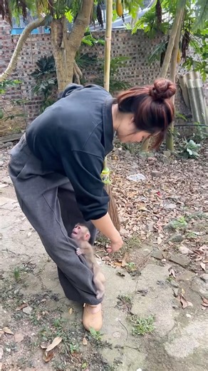 Even when Mom was cleaning the house, the little monkey still wanted to be by her side.