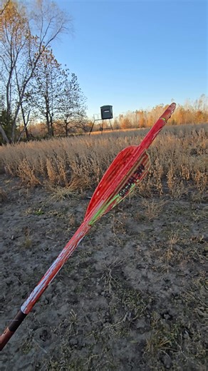 Illinois ✅️ | Jeff Althoff