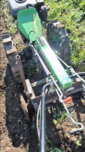 ​Homemade one-row potato digger for a two-wheel tractor in action