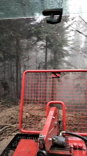 #caseih1455xl #1455xl #logging #foryou #fypシ @Swiss_Flurin @Michael Zwahlen @Beyeler08 @Michu🇨🇭