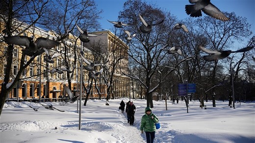 Video. Heaviest snowfall in 200 years blankets Moscow, disrupting daily life