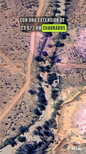 THE BIGGEST RANCH IN THE WORLD 🌏🐂🤠 #cows #ranch #farm