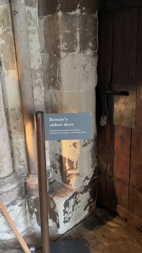 Cornish Kiwi on TikTok