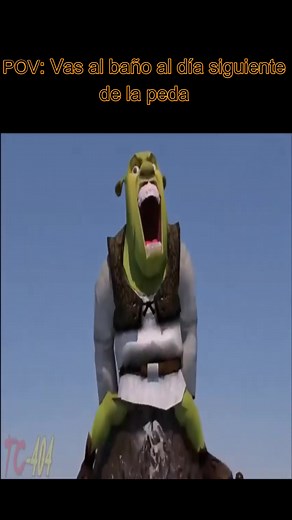 Shrek Cartoon: Funny Moments Compilation