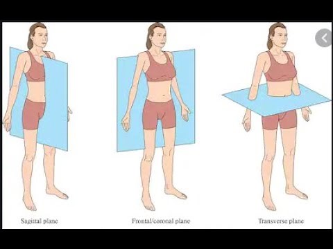 BIO MECHANICS- PLANES & AXES OF HUMAN BODY