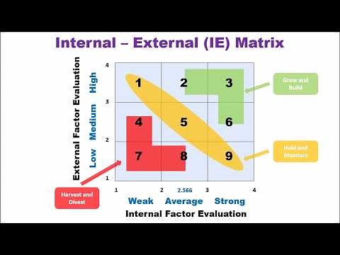 Internal External Matrix