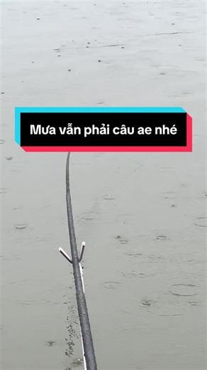 Câu Cá Mọi Thời Tiết: Mẹo và Kinh Nghiệm
