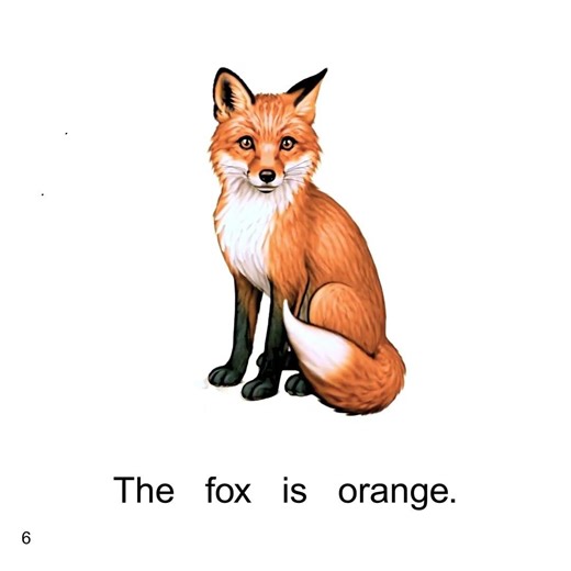 Orange Color Book for Kids 🎨 Read Aloud for Preschool & Kindergarten Colors #colorsforkids #colors