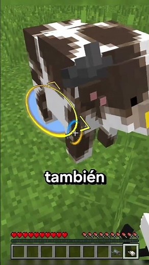 Cómo Hacer Un Portal A La Luna En Minecraft!!
