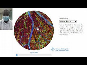 Virtual Microscope Simulation | Science Experiment | Virtual Lab Simulation