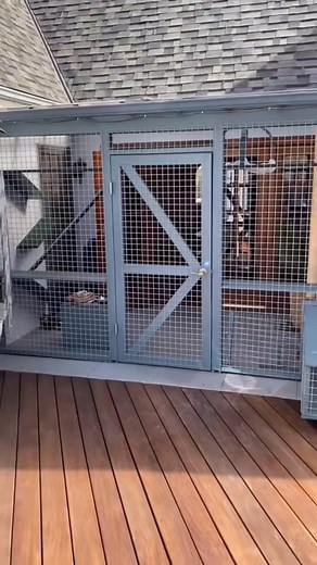 Beverly Grove tree catio with a long L-shaped run. 🙀😺😻 #catioguy #catio #catenclosure #catlife #cathouse | Catio Guy