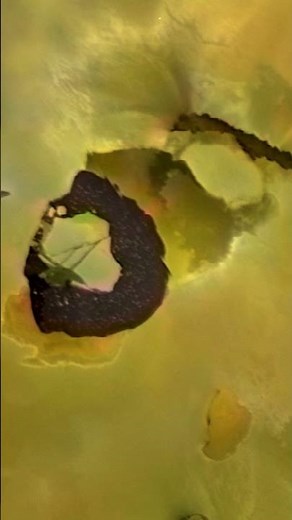 STUNNING IMAGES OF JUPITER'S FIFTH MOON AND ITS VOLCANIC SURFACE #shorts