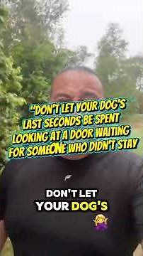 ￼ If you have to put you Dog Down, Don’t drop them off and drive away! Stay and be with them!