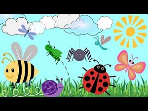 BUG CARTOONS FOR KIDS!! | Learn Bug Names | Creepy Crawlies & Fun Insect Video for Kids!!