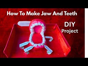 How To Make Jaw And Teeth model/ DIY Dental Model/ Science Project for School