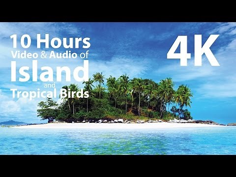 4K UHD 10 hours - Tropical Island & Gentle Birds/Waves Audio window - relaxation, meditation, nature