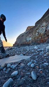 Jurassic Crystal and fossil hunting on a beach filled with Ancient sea creatures roughly 180 million years old! This HUGE nodule was hiding something within! The golden round nodule opened up just like a geode to reveal a beautiful Golden Ammonite fossil that requires a little extra preparation at home! 🤯🏝 Thanks for supporting our page! 🐊 #natural #nature #fossil #geode #fblifestyle | Yorkshire Fossils