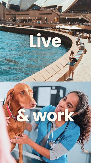 Same pets, brighter days. Choose city, coast or countryside with up to $10k relocation bonus, visas and a dedicated visa agent. | VetPartners Australia and New Zealand