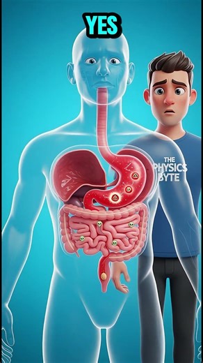 🍎 Can Apple Seeds Really Poison You? #facts #science #animation #education