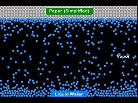 A Molecular Simulation of Evaporation and Condensation