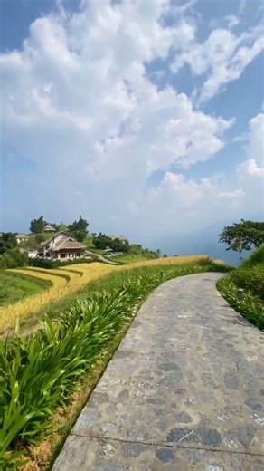 Thời tiết hôm nay tại Topas Ecolodge - vạch đích VMM thật lý tưởng. Hy vọng vào ngày chạy, chúng ta cũng sẽ được thiên nhiên ưu ái như vậy! 𝗕𝗲𝗮𝘂𝘁𝗶𝗳𝘂𝗹 𝗰𝗼𝗻𝗱𝗶𝘁𝗶𝗼𝗻𝘀 𝘁𝗼𝗱𝗮𝘆 𝗮𝘁 𝘁𝗵𝗲 𝗳𝗶𝗻𝗶𝘀𝗵 𝗹𝗶𝗻𝗲, Topas Ecolodge. 𝗟𝗲𝘁'𝘀 𝗵𝗼𝗽𝗲 𝗳𝗼𝗿 𝗺𝗼𝗿𝗲 𝗼𝗳 𝘁𝗵𝗲 𝘀𝗮𝗺𝗲 𝗼𝗻 𝗿𝗮𝗰𝗲 𝗱𝗮𝘆! - 𝗩𝗜𝗘𝗧𝗡𝗔𝗠 𝗠𝗢𝗨𝗡𝗧𝗔𝗜𝗡 𝗠𝗔𝗥𝗔𝗧𝗛𝗢𝗡 𝗧𝗵𝗲 𝗧𝗿𝗮𝗶𝗹𝘀 𝗼𝗳 𝗦𝗮𝗽𝗮 www.vietnammountainmarathon.com 𝟭𝟬𝗸 | 𝟮𝟭𝗸 | 𝟱𝟬𝗸 | 𝟳𝟬𝗸 | 𝟭𝟬𝟬𝗸 𝟭𝟵 - 𝟮𝟬/𝟵/𝟮�