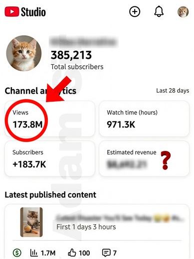 173M Views || YouTube Automation || Denox Media . . . . . . . . . #YouTubeAutomation #denoxmedia #ContentCreation #black_adam_sir #fyp