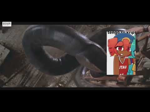 Ball python Vs anaconda