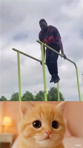 Funny Human Fails Compilation Hilarious Animals Getting Into Trouble Must See Moments! #158