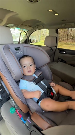 Upgrade Your Child's Car Seat with Nuna Exec Next