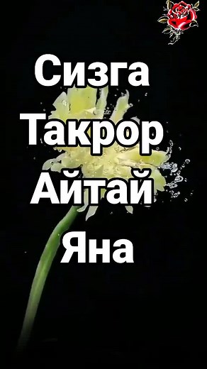 Exploring Beautiful Flower Varieties and Their Meanings