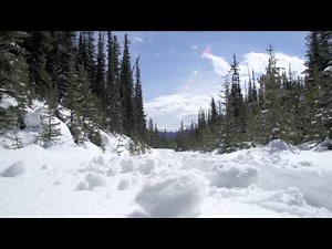 Sony A850 with secret handshake lens