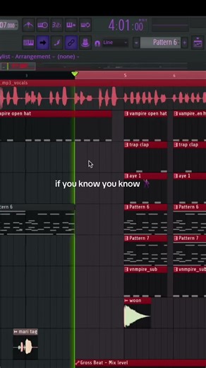 One Pound Fish Remix - Catchy Dance Video