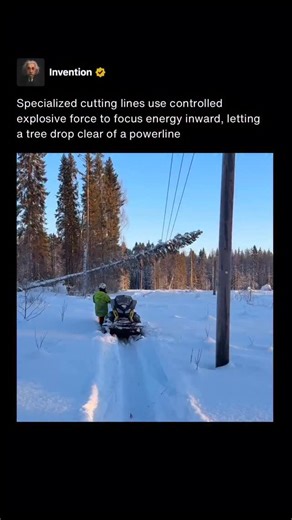 Invention on Instagram: "Specialized cutting lines used near power infrastructure can incorporate small, highly controlled explosive charges designed for precision cutting rather than brute force. The goal is rapid separation of material like a tree trunk while keeping the energy tightly confined to the cut line. This is why the result looks dramatic but not chaotic. Unlike loose explosives, these systems are engineered to focus energy inward, limiting outward blast and debris. That controlled d