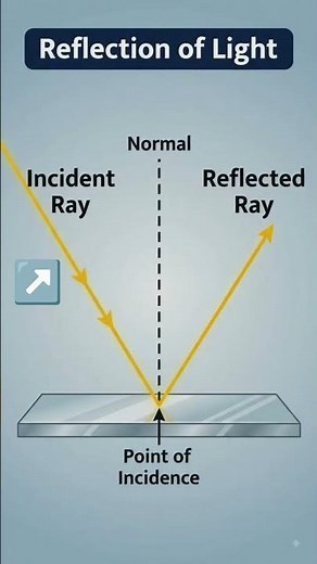 what is reflection//optics//physics