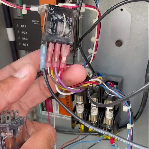 2.3K views · 11 reactions | ¿Sabías que el “Transfer Relay” es un...