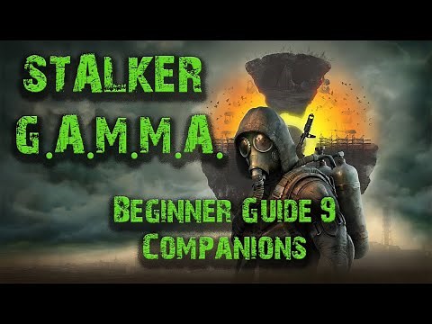 Stalker GAMMA Beginner Guide 9: Companions