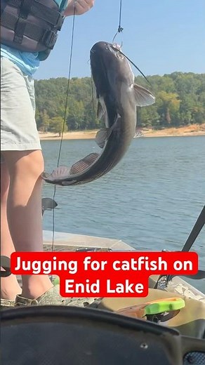 Jugging for catfish on Enid Lake with Catfish Guide Barton Outfitters #bartonoutfitters