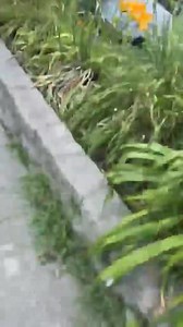 269K views · 757 reactions | 217 FIREWORK BACKFIRE: That moment when fireworks in your truck go off.  Macon | 217 Problems | Facebook