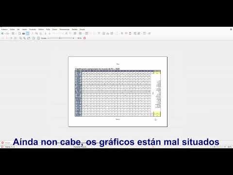 Informe-organización