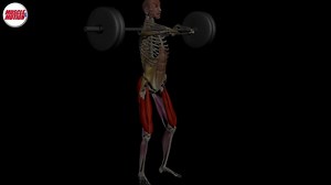 Over 4000 full-color 3D videos, tips, and theories on muscle, movement, and fitness that are guaranteed to help you become a strength training pro! | Muscle & Motion