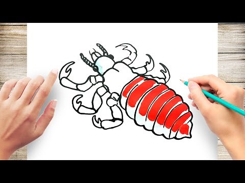 How to Draw A Lice