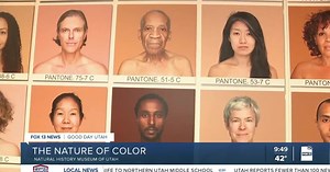 Explore the Human Face of Color