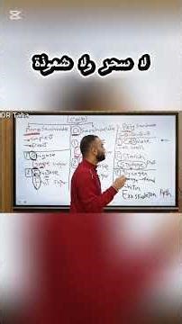 Lesson 1 Integrated Science | Carbohydrates | First Lesson, Second Term, Integrated Science (Lang...