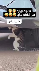 😂😂😂 | Casper Dn