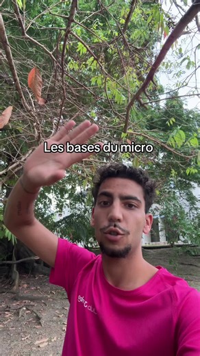 Apprenez les bases de l'utilisation du micro en animation