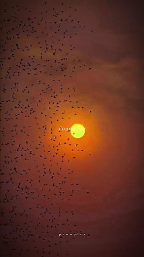 🔥 Until I Found You 💖 | I Would Never Fall In Love Again... | Stephen Sanchez (Lyrics)